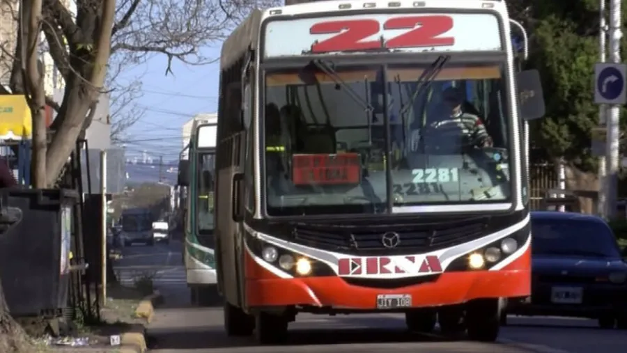 Colectivos urbanos
