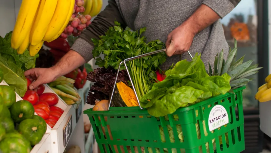 verduras