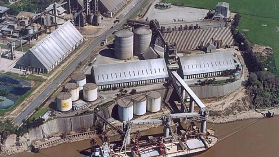 Vicentin aérea