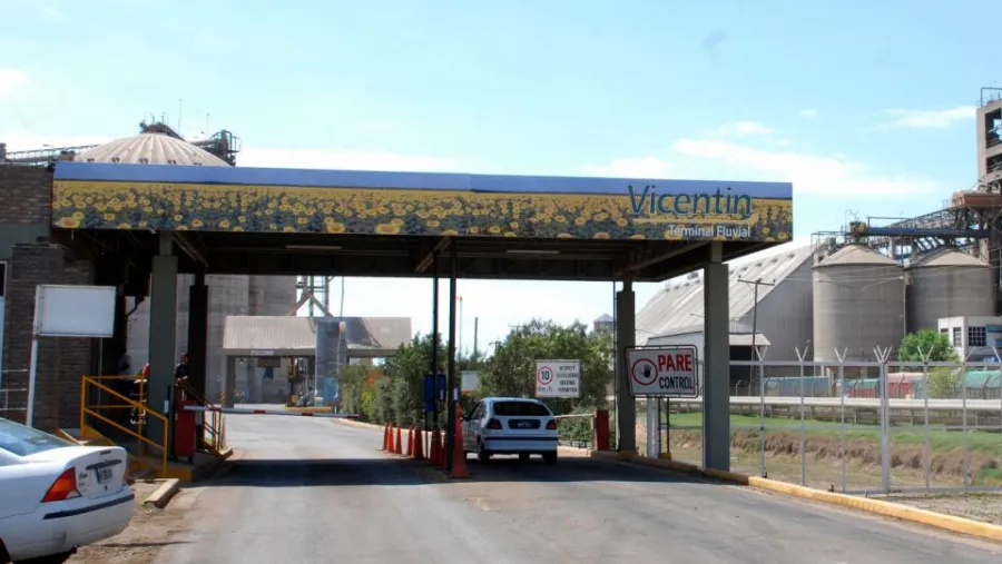 Vicentin 