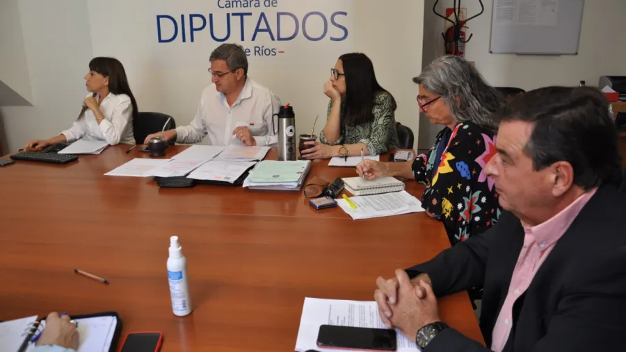 Diputados