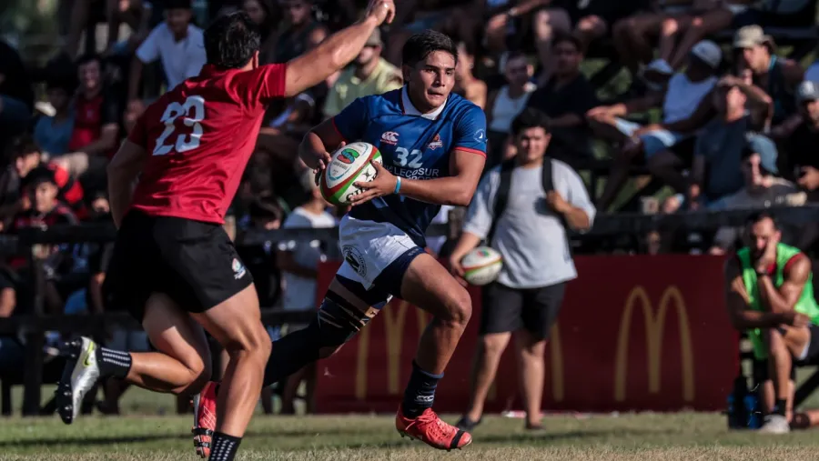 Capibaras XV