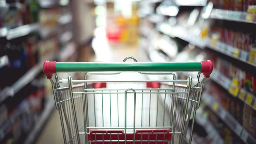El año está cerrando con una recuperación muy lenta y despareja de la demanda y los datos muestran que los argentinos modifican sus patrones de compra -menos stockeo, más productos importados, mayor uso de billeteras digitales- con un nivel de gasto más austero.