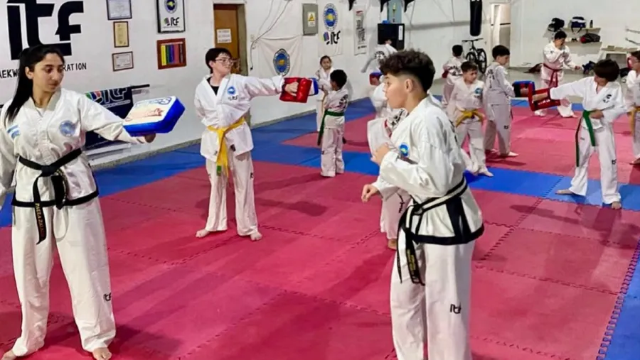 Taekwondo