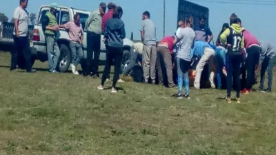 Animales faenados.