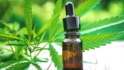 cannabis terapéutico