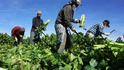 pequeños productores