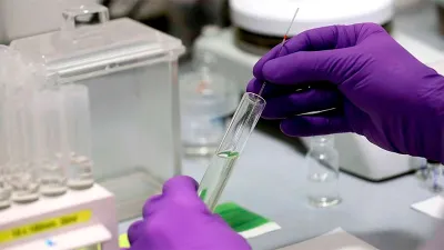 coronavirus análisis
