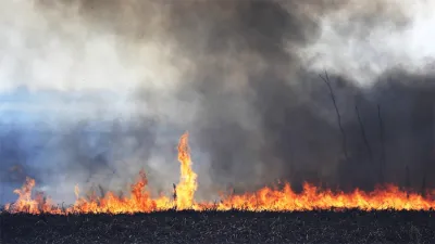 Los voluntarios advierten que no es suficiente su esfuerzo, y piden que el Estado reúna mayor cantidad de especialistas y recursos.