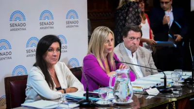 Comisión de Asuntos Constitucionales del Senado