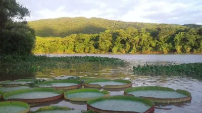 pantanal