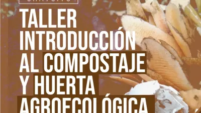 Taller 
