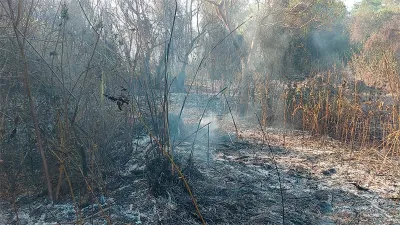 incendio Isla Puente