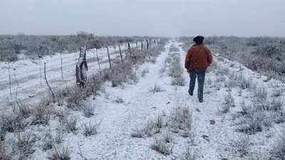 nevada