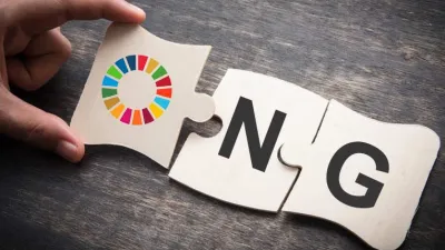 ¿Organizaciones No Gubernamentales? (ONG)
