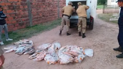pescado incautado