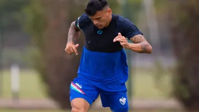 Bou