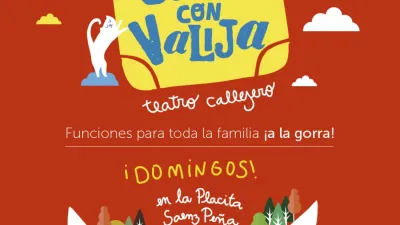 Gato con Valija