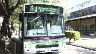 cole nuevo Paraná