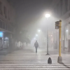 Paraná Hacia el Mundo