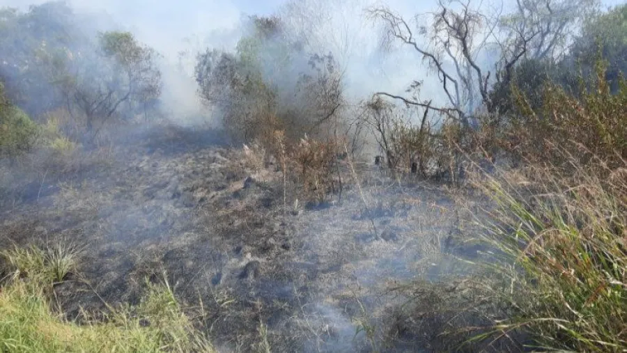 Una vivienda fue afectada por un importante incendio en la zona del Túnel