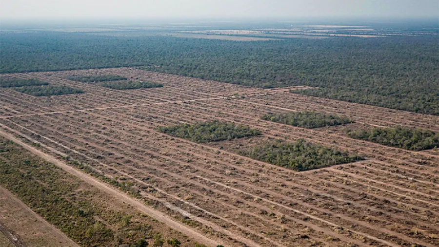 Greenpeace. Greenpeace.