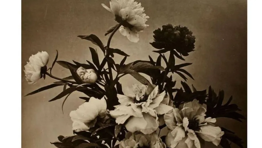 “Clase Cámaras lúdicas: crónicas de la invención de la fotografía” “Clase Cámaras lúdicas: crónicas de la invención de la fotografía”