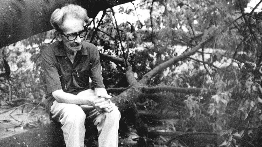 "En el aura del sauce"