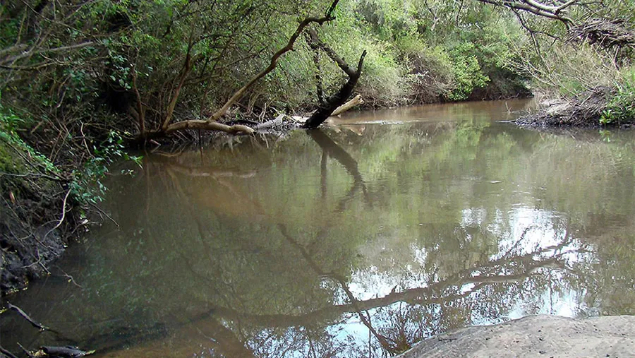 En Entre Ríos hay cerca de 70 áreas naturales protegidas que se extienden en alrededor de 800 mil hectáreas, y que cuentan con el apoyo del gobierno provincial por considerarlas valiosas para la educación, el turismo y la producción.