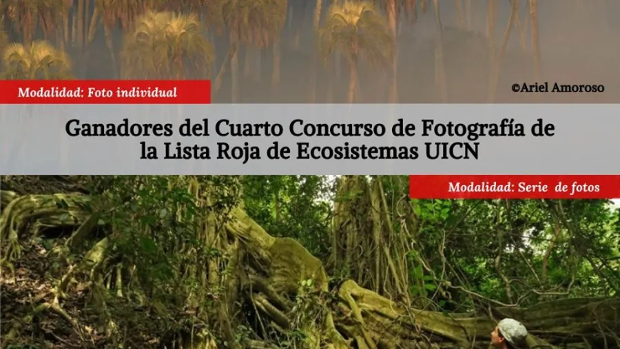  "Lista Roja de los Ecosistemas de la UICN"