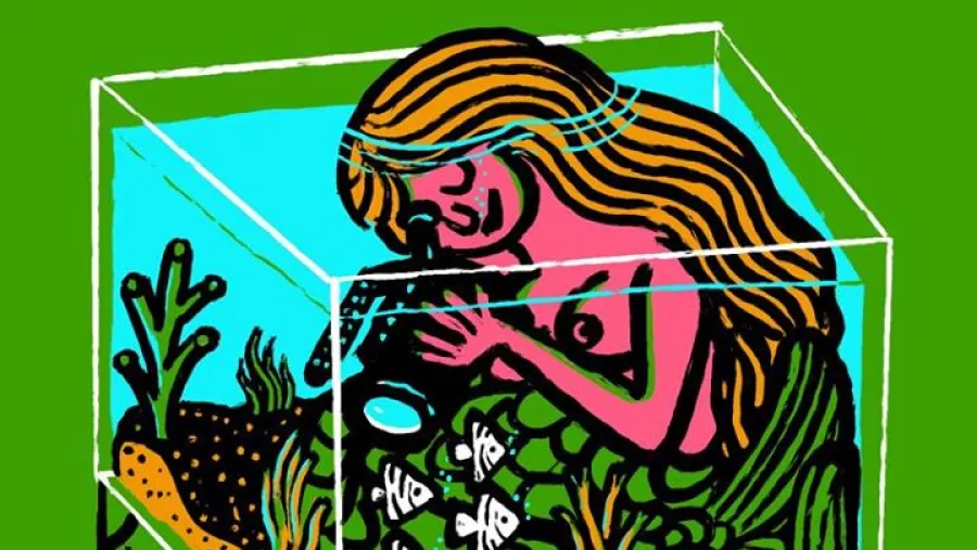  Festival Internacional de Cine de Gibara