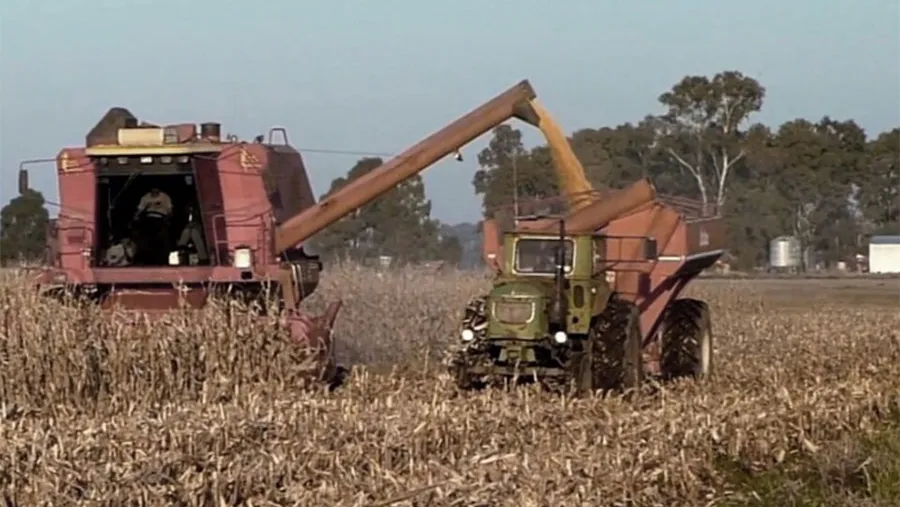 Habrá préstamos subsidiados para pequeños productores que no entraron al dólar soja. Habrá préstamos subsidiados para pequeños productores que no entraron al dólar soja.