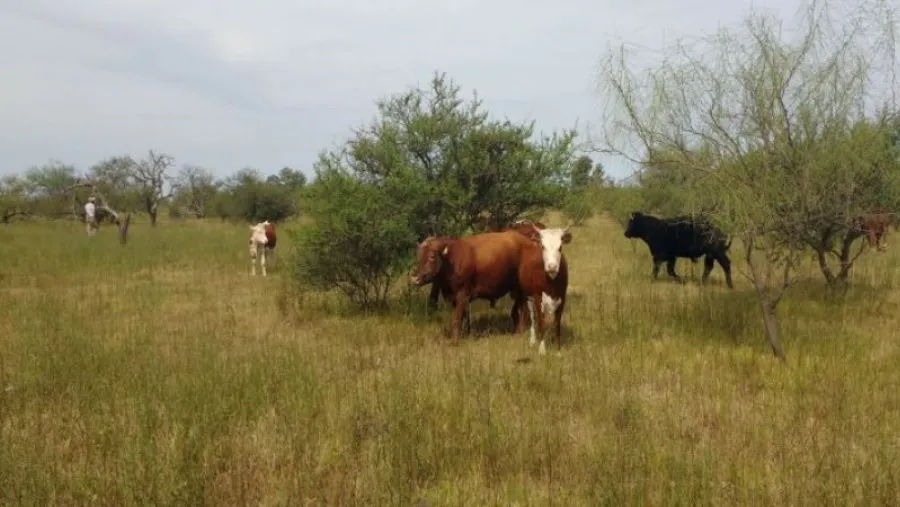 área natural protegida