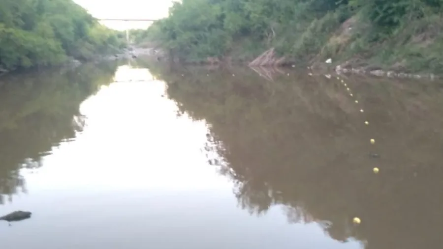 Vecinos denunciaron una red de pesca ilegal en Arroyo Doll piden por un área protegida