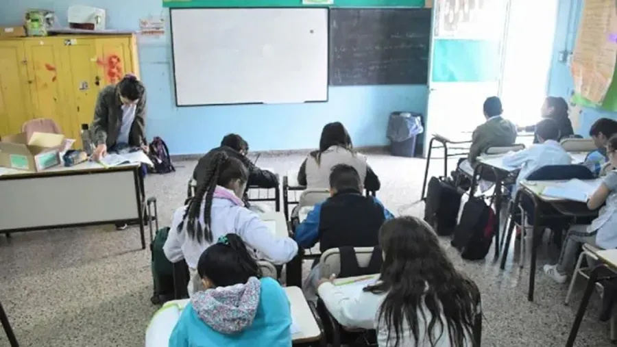 En cuatro años, el número de alumnos con discapacidad que se incorporó a las escuelas comunes entrerrianas creció un 55 por ciento. En cuatro años, el número de alumnos con discapacidad que se incorporó a las escuelas comunes entrerrianas creció un 55 por ciento.