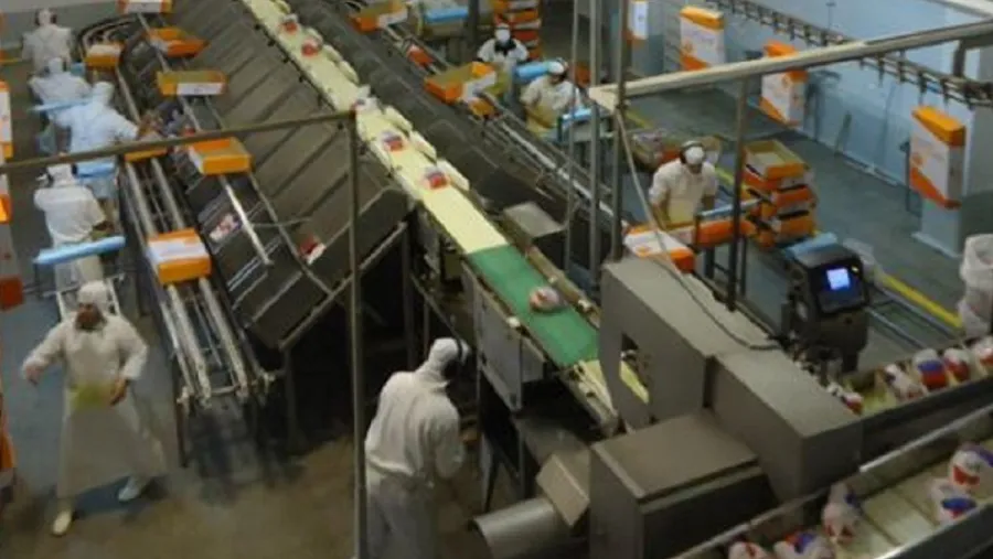 Aislaron a 60 operarios de una planta avícola de Larroque