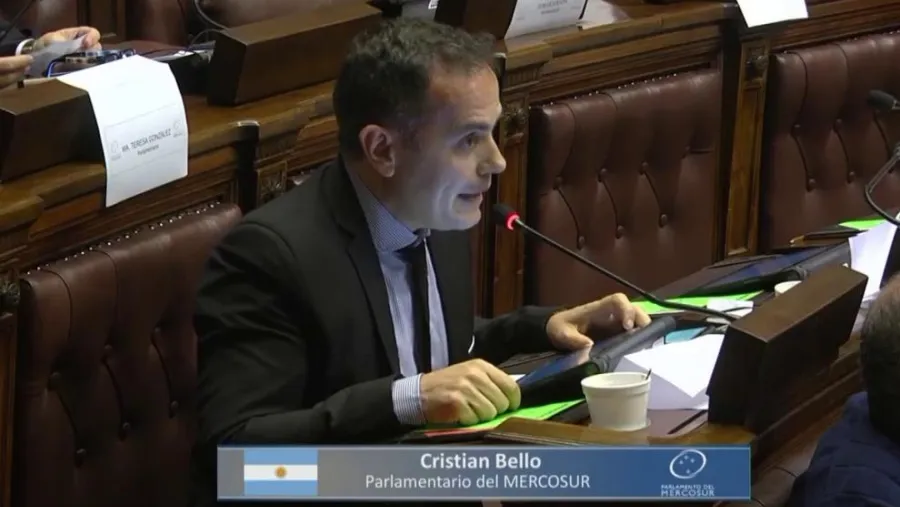 Parlamentarios