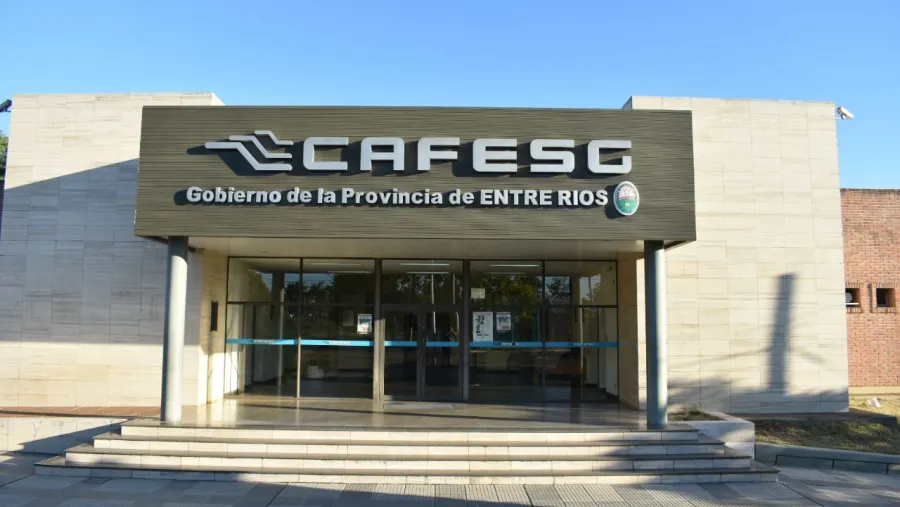 Trabajadores de CAFESG reclaman que se respete la antigüedad para el pase a planta