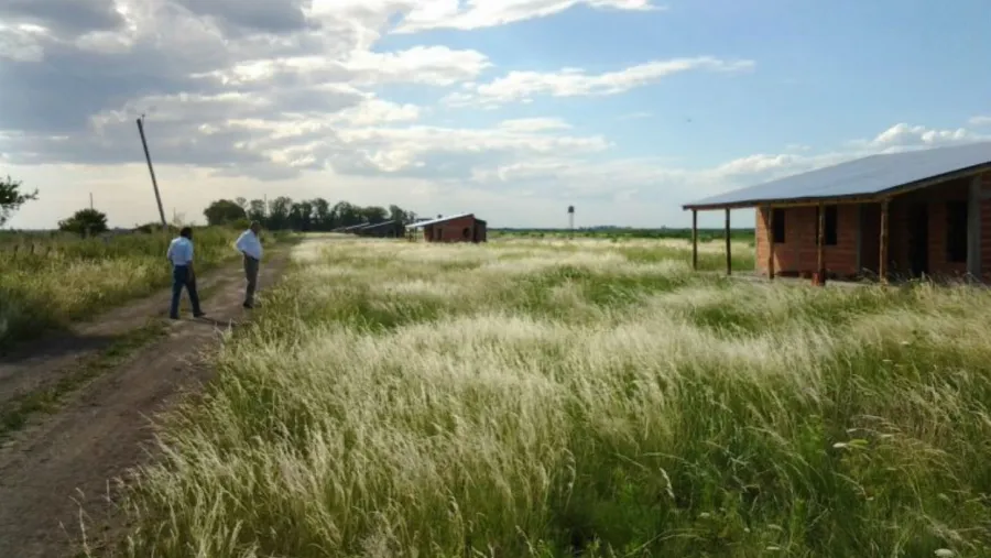 Campo expropiado a Yedro