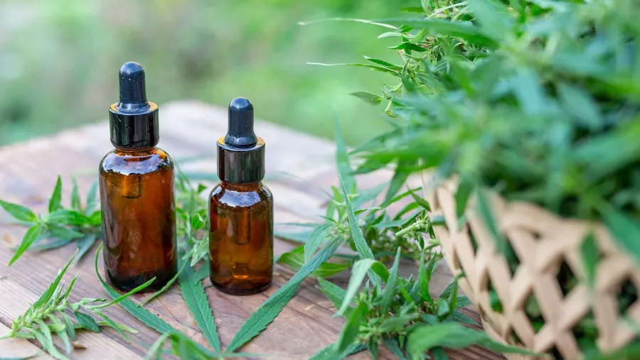 Cannabis y salud Cannabis y salud