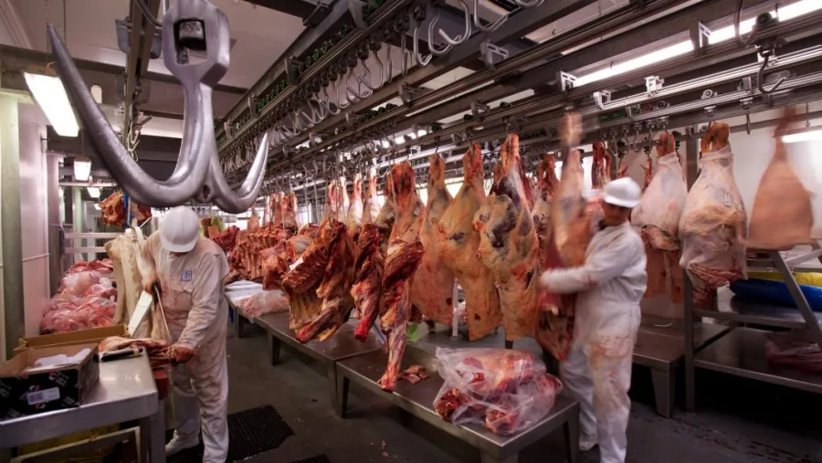 Exportaciones de carne Exportaciones de carne