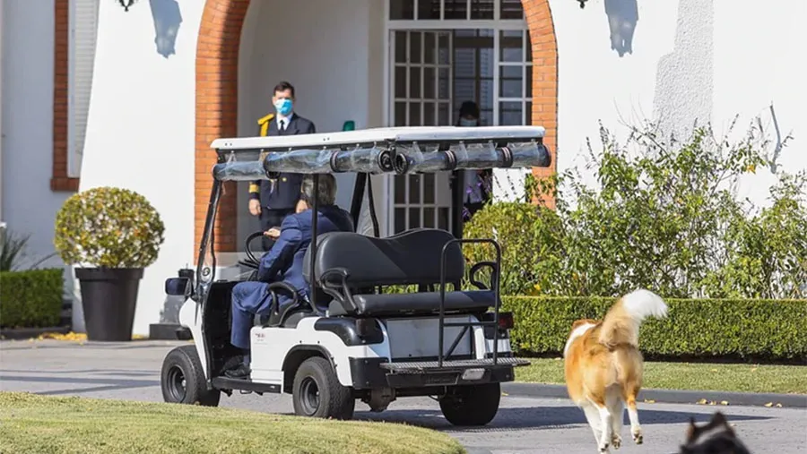 Alberto Fernández con Dylan y Prócer, sus perros collie, camino a Jefatura. Alberto Fernández con Dylan y Prócer, sus perros collie, camino a Jefatura.
