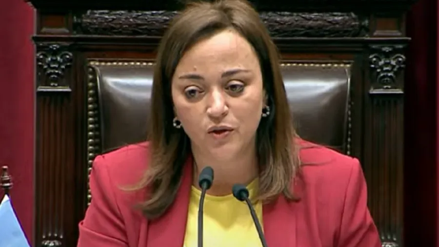 Sin el apoyo de JxC, Cecilia Moreau fue designada presidenta de la Cámara de Diputados Sin el apoyo de JxC, Cecilia Moreau fue designada presidenta de la Cámara de Diputados