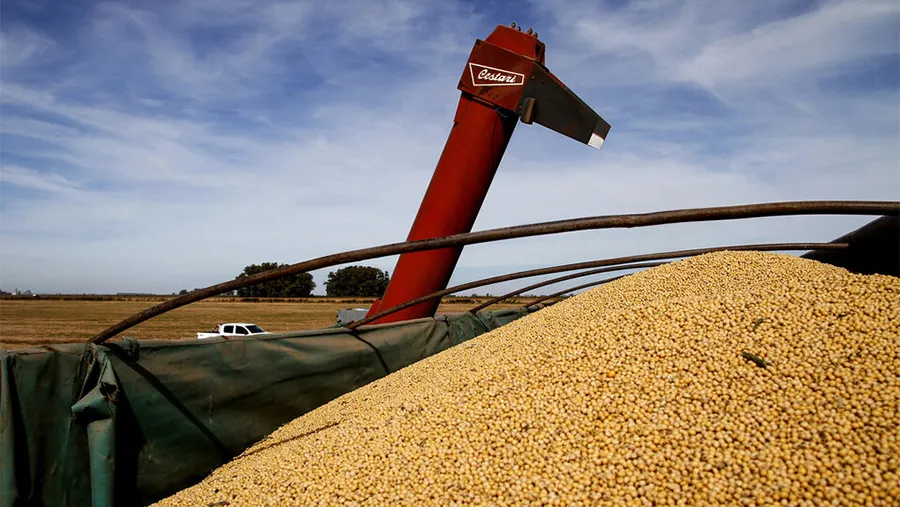 La Aduana detectó una millonaria maniobra de evasión de las grandes cerealeras.