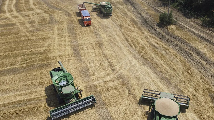 Los precios internacionales del sector agropecuario como consecuencia de la guerra en Ucrania afecta seriamente a la economía del país.