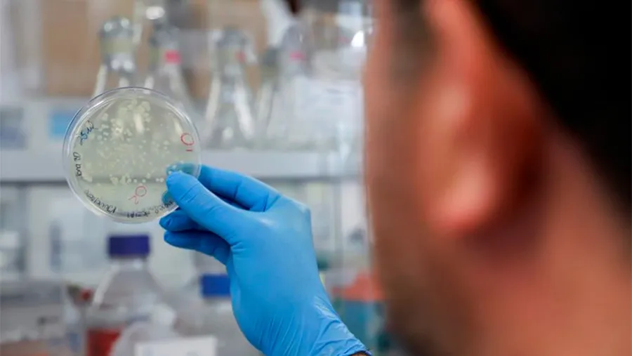 Un enfoque antivírico alternativo es, según los científicos, “apuntar a las vías de la célula huésped que son esenciales para la replicación del virus, como la síntesis de proteínas”. Un enfoque antivírico alternativo es, según los científicos, “apuntar a las vías de la célula huésped que son esenciales para la replicación del virus, como la síntesis de proteínas”.