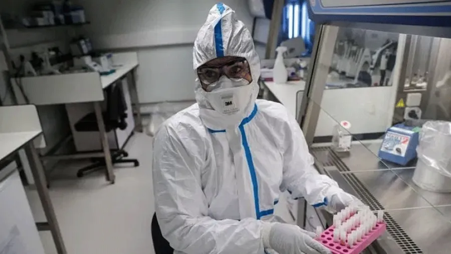 Coronavirus. Coronavirus.