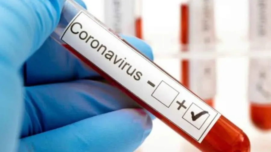 coronavirus coronavirus