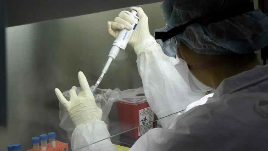 coronavirus coronavirus
