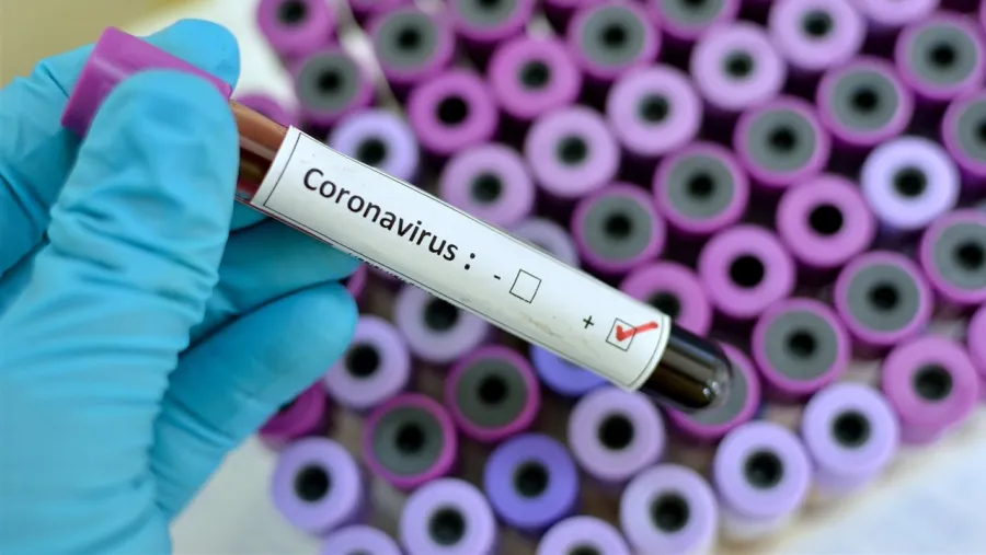 Coronavirus. Coronavirus.